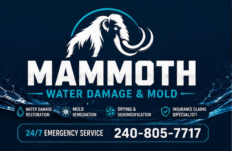 Mammoth Water Damage & Mold brand banner: water damage restoration, mold remediation, drying and dehumidification, insurance claims specialist. 24/7 emergency service 240-805-7717.